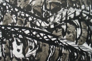 Sgelare(13)
