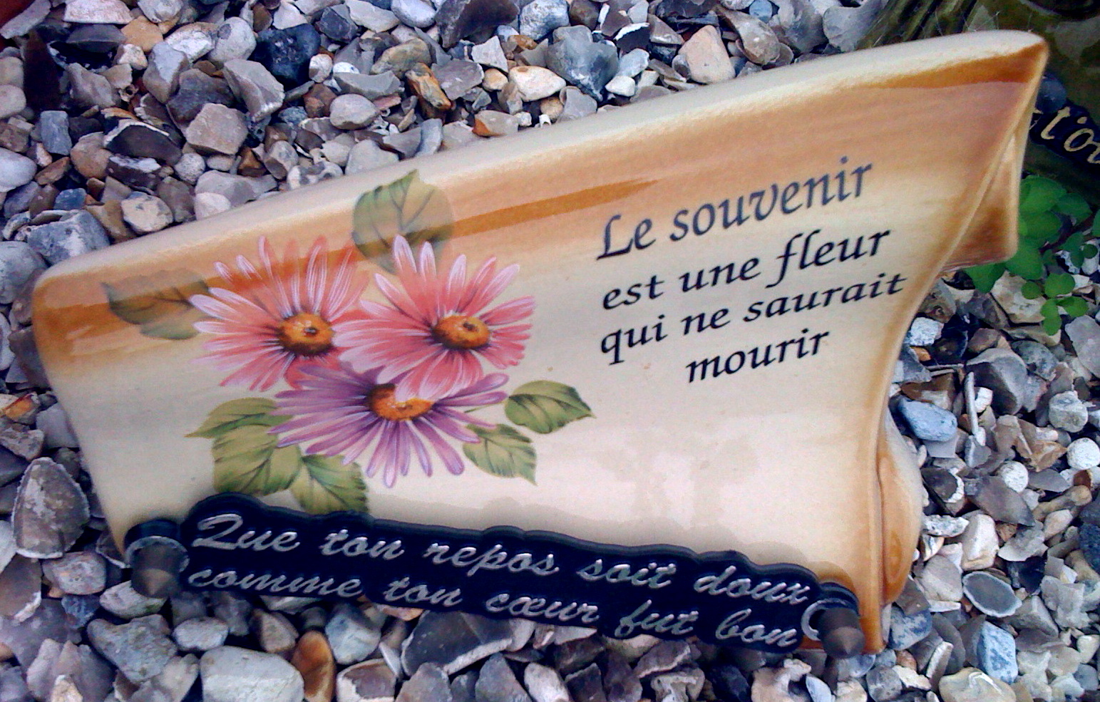Le temps passe… MARJOLIJN VAN DEN ASSEM